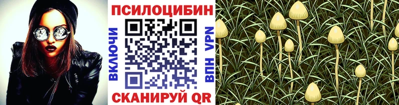 Псилоцибиновые грибы GOLDEN TEACHER  mega вход  Нижний Новгород  купить наркоту 